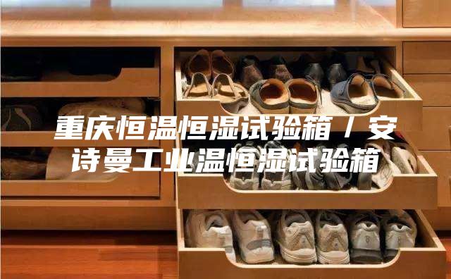 重庆恒温恒湿试验箱／安诗曼工业温恒湿试验箱