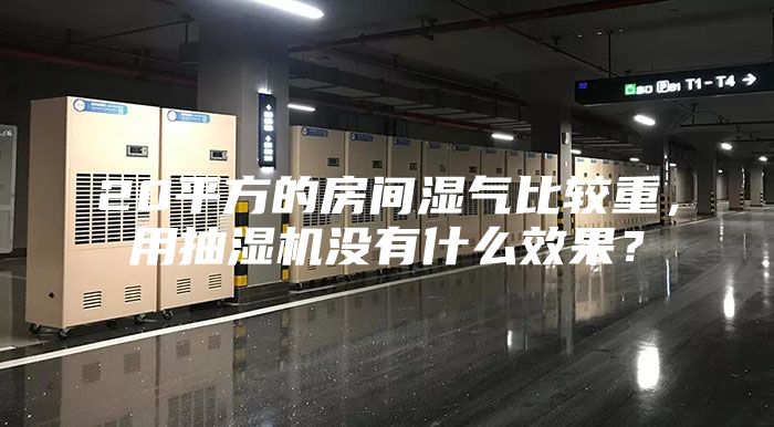 20平方的房间湿气比较重，用抽湿机没有什么效果？