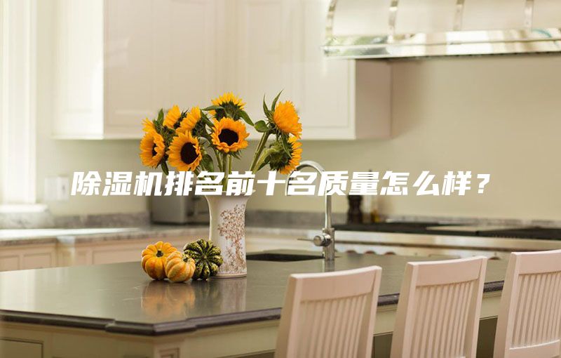 除湿机排名前十名质量怎么样？