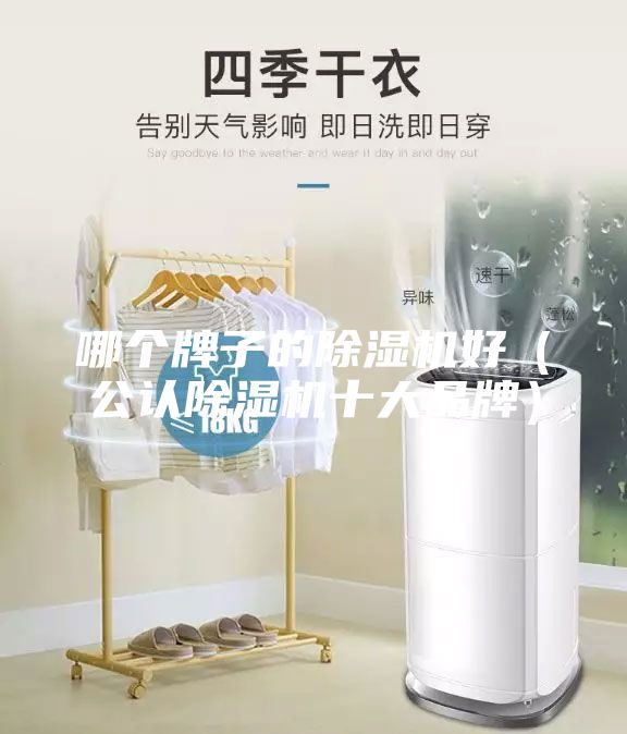 哪个牌子的除湿机好（公认除湿机十大品牌）