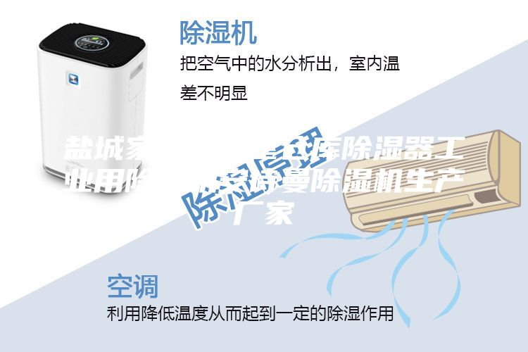 盐城家用地下室仓库除湿器工业用除湿机安诗曼除湿机生产厂家