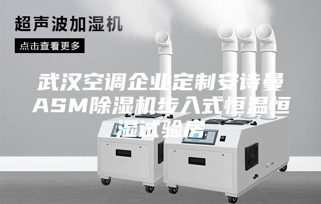 武汉空调企业定制安诗曼ASM除湿机步入式恒温恒湿试验房