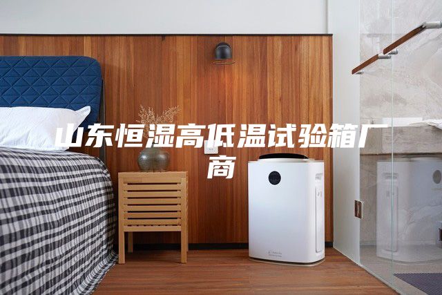 山东恒湿高低温试验箱厂商