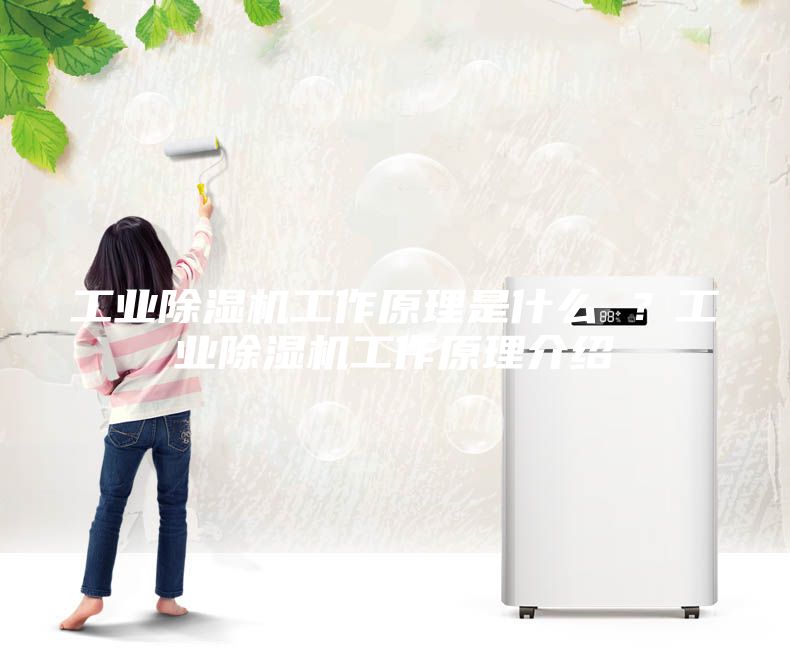 工业除湿机工作原理是什么 ？工业除湿机工作原理介绍