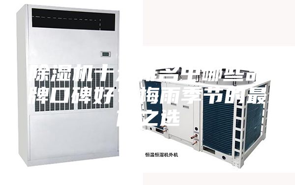除湿机十大排名中哪些品牌口碑好？梅雨季节的最佳之选