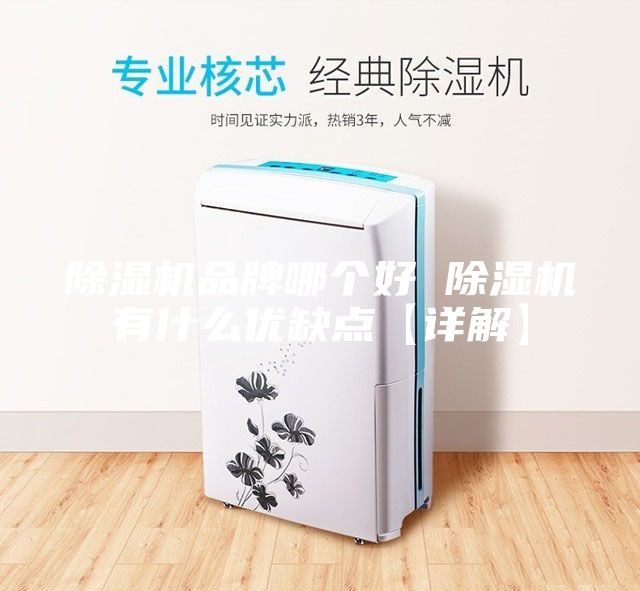 除湿机品牌哪个好 除湿机有什么优缺点【详解】