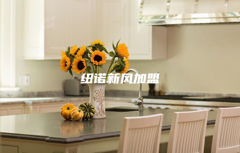 纽诺新风加盟