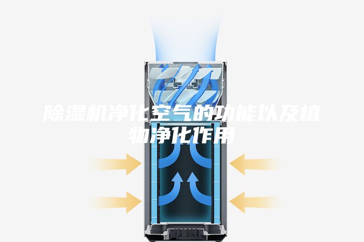 除湿机净化空气的功能以及植物净化作用