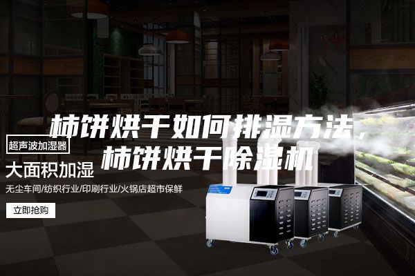 柿饼烘干如何排湿方法，柿饼烘干除湿机