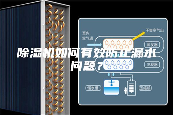 除湿机如何有效防止漏水问题？