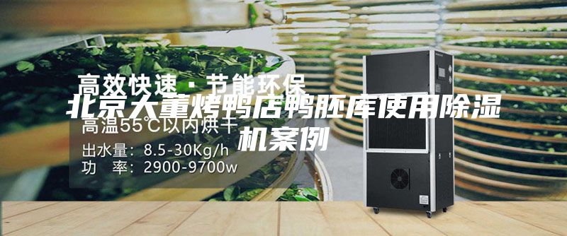 北京大董烤鸭店鸭胚库使用除湿机案例