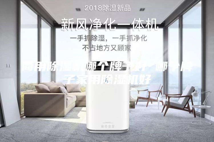 商用除湿机哪个牌子好 哪个牌子家用除湿机好