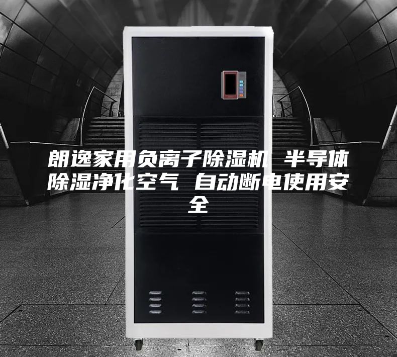 朗逸家用负离子除湿机 半导体除湿净化空气 自动断电使用安全