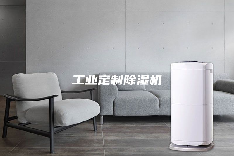 工业定制除湿机