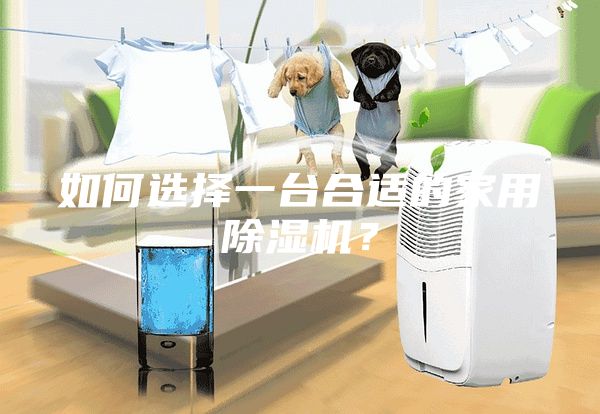 如何选择一台合适的家用除湿机？