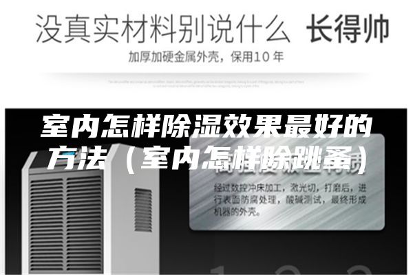室内怎样除湿效果最好的方法（室内怎样除跳蚤）