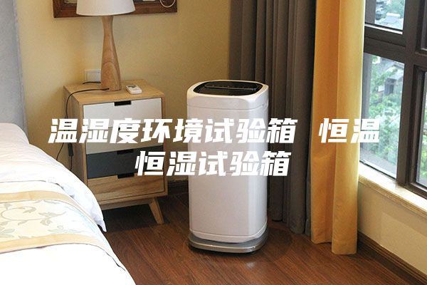 温湿度环境试验箱 恒温恒湿试验箱