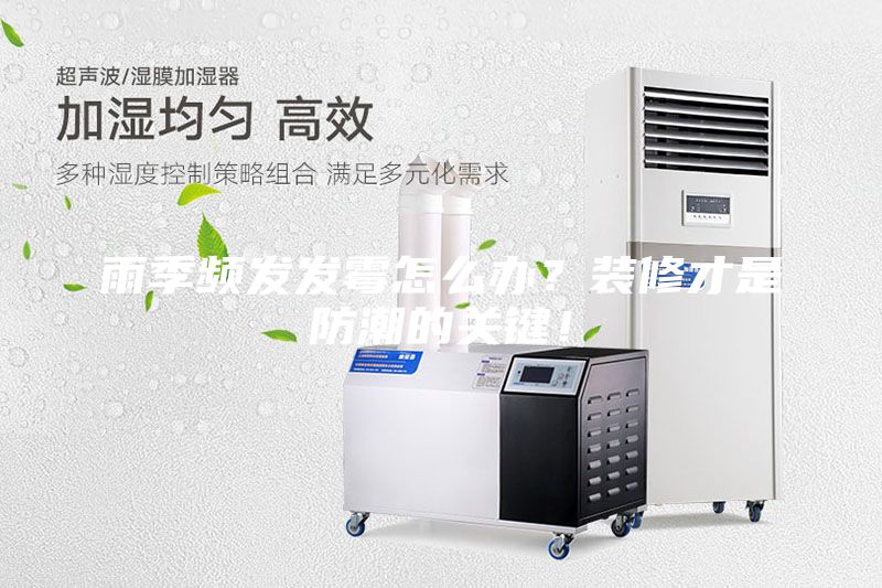 雨季频发发霉怎么办?装修才是防潮的关键!