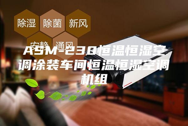 ASM-230恒温恒湿空调涂装车间恒温恒湿空调机组