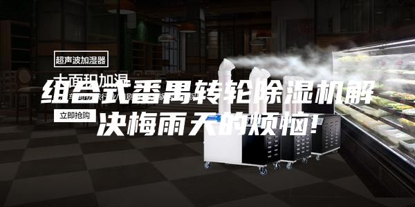 组合式番禺转轮除湿机解决梅雨天的烦恼!