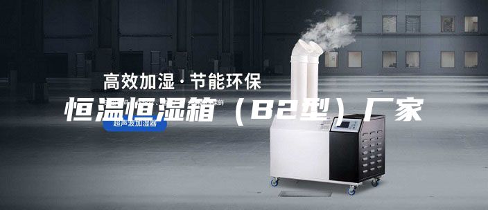 恒温恒湿箱（B2型）厂家