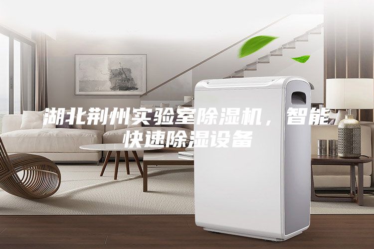 湖北荆州实验室除湿机，智能快速除湿设备
