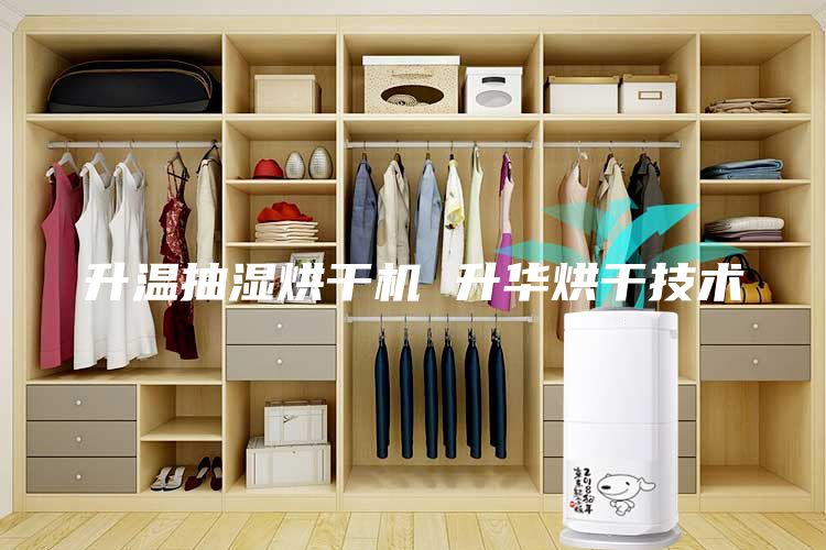 升温抽湿烘干机 升华烘干技术