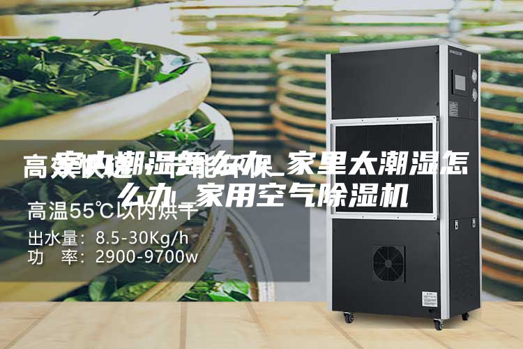 室内潮湿怎么办_家里太潮湿怎么办_家用空气除湿机