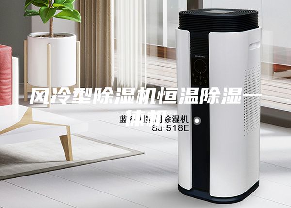风冷型除湿机恒温除湿一体机