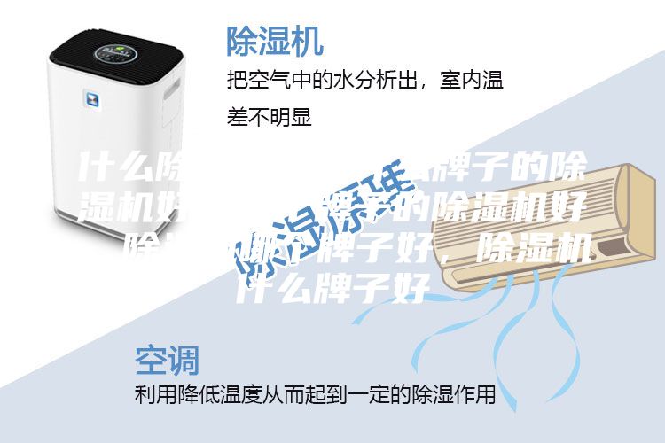 什么除湿机好，什么牌子的除湿机好，哪个牌子的除湿机好，除湿机哪个牌子好，除湿机什么牌子好