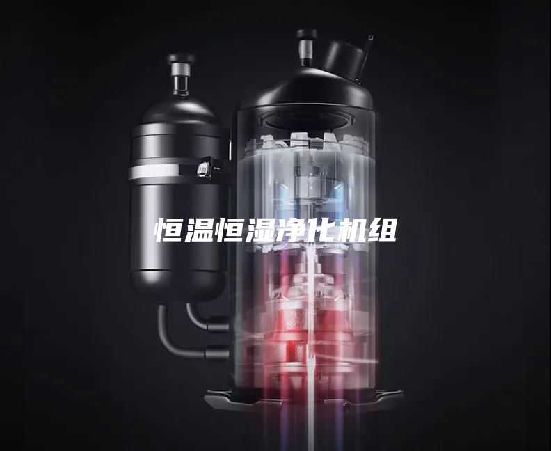 恒温恒湿净化机组