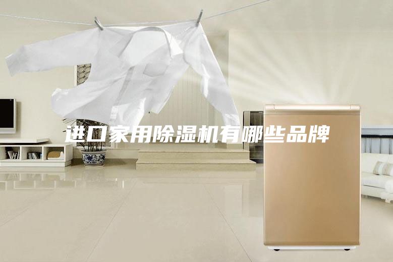 进口家用除湿机有哪些品牌