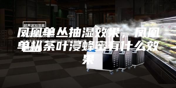 凤凰单丛抽湿效果，凤凰单枞荼叶浸蜂蜜有什么效果