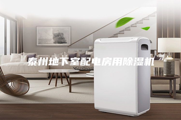 泰州地下室配电房用除湿机