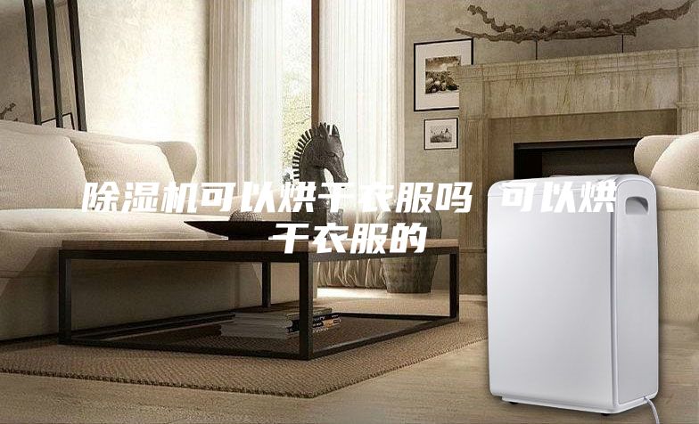 除湿机可以烘干衣服吗 可以烘干衣服的