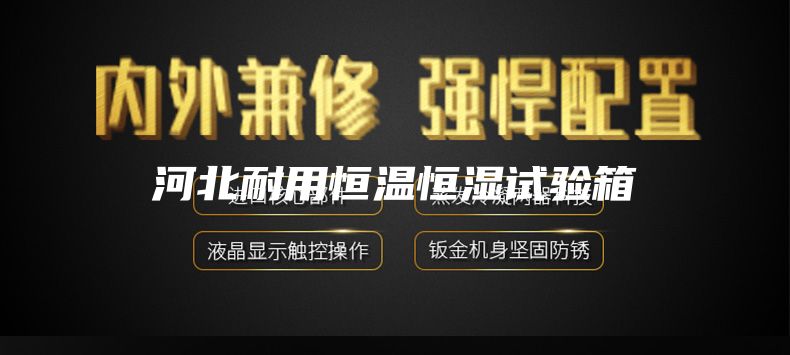 河北耐用恒温恒湿试验箱