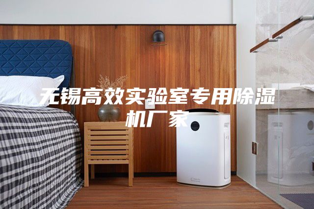 无锡高效实验室专用除湿机厂家