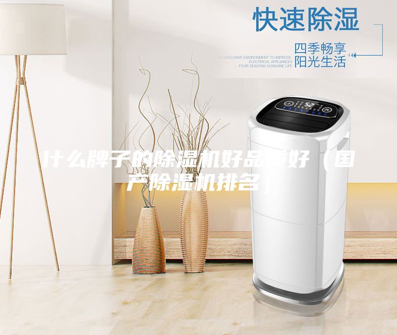 什么牌子的除湿机好品质好（国产除湿机排名）