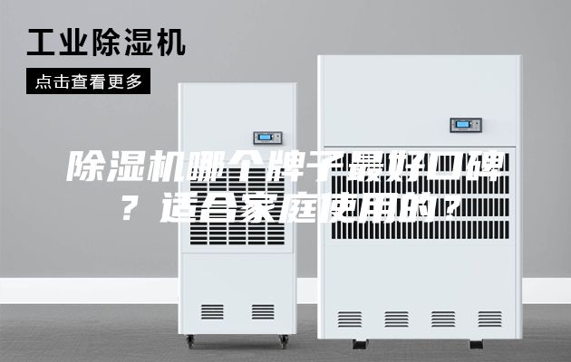 除湿机哪个牌子最好口碑？适合家庭使用的？