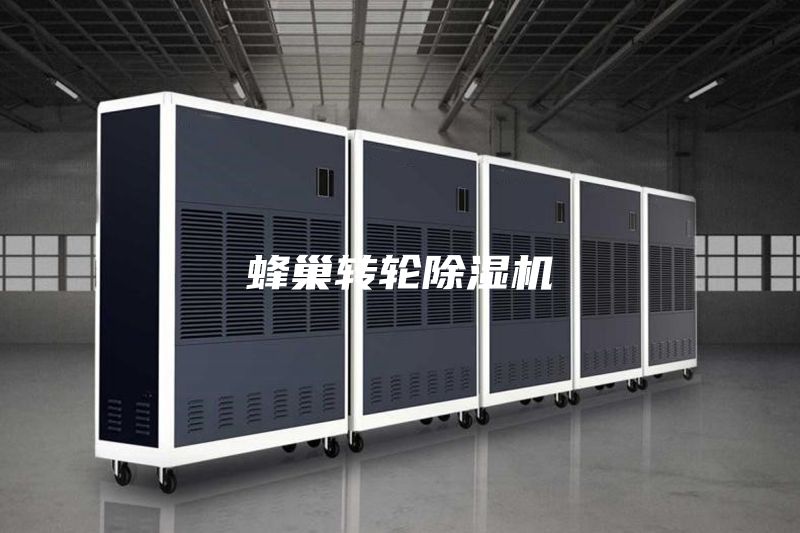 蜂巢转轮除湿机