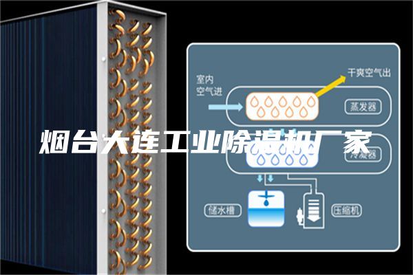 烟台大连工业除湿机厂家