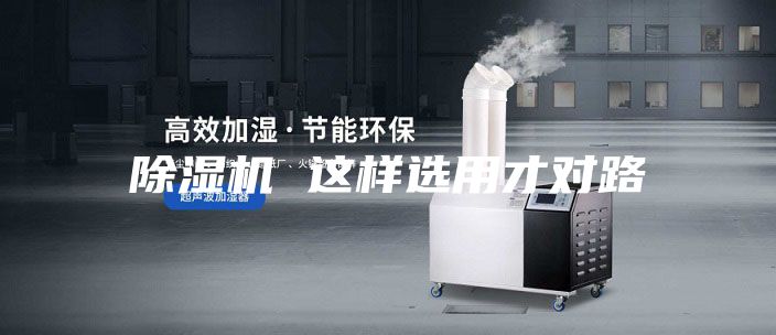除湿机 这样选用才对路