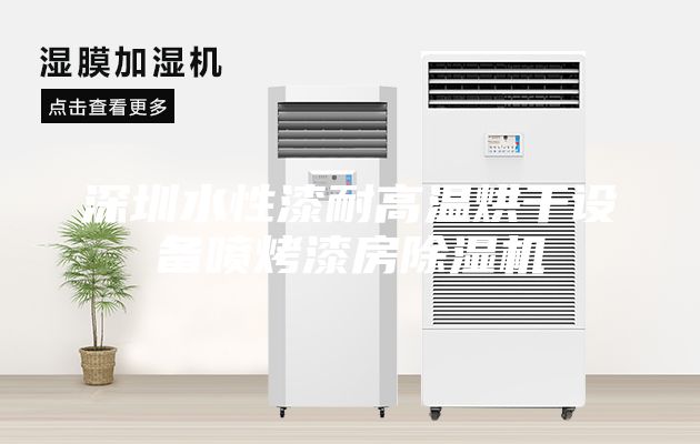 深圳水性漆耐高温烘干设备喷烤漆房除湿机
