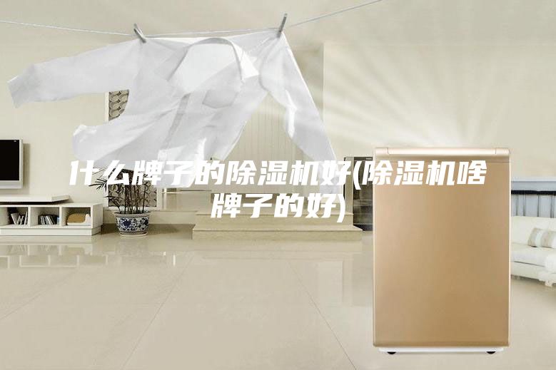 什么牌子的除湿机好(除湿机啥牌子的好)