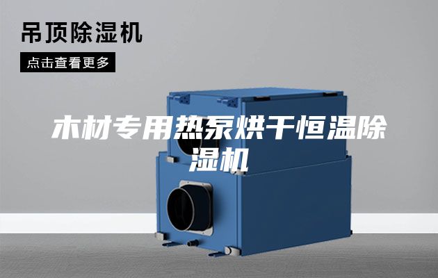 木材专用热泵烘干恒温除湿机