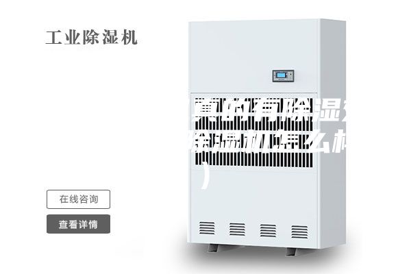 家用除湿机真的有除湿效果吗(室内除湿机怎么样)