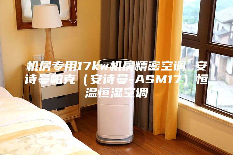 机房专用17kw机房精密空调 安诗曼帕克(安诗曼-ASM17)恒温恒湿空调