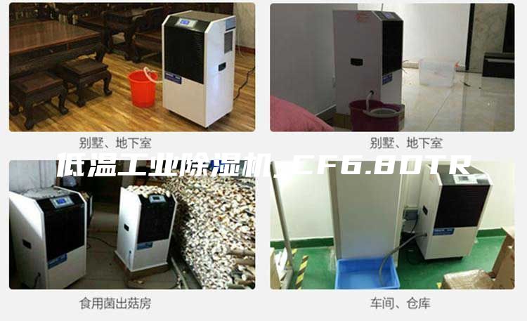 低温工业除湿机_CF6.8DTR
