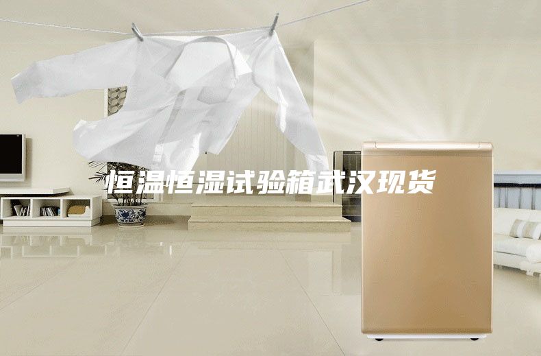 恒温恒湿试验箱武汉现货
