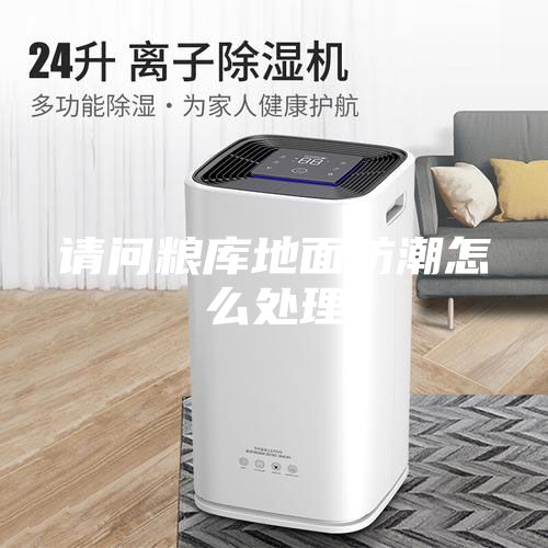 请问粮库地面防潮怎么处理